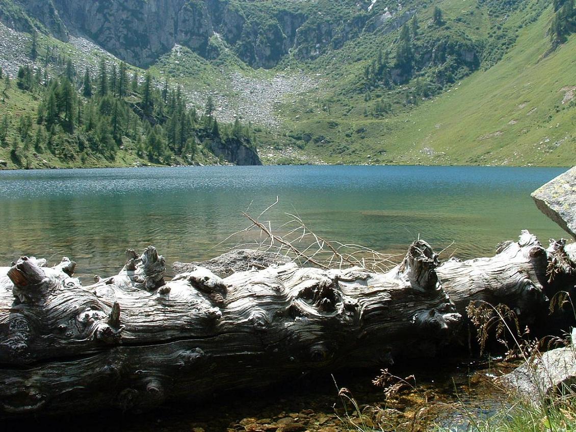 Laghi.......del TRENTINO